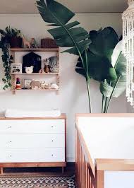As nursery manager at white flower farm in litchfield, connecticut are you planting in a sunny spot or on the shady side of the house? Breathtaking Ways To Add Plants To A Baby Nursery Nursery Design Studio