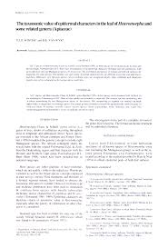 Image result for Heteromorpha involucrata