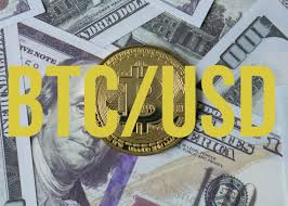 Bitcoin private price prediction : Bitcoin Price Prediction Btc To 49 000 Analyst Cryptopolitan
