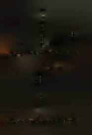 Image result for Acacia tenuispina