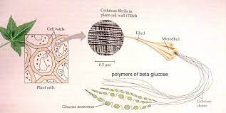 This Is A Cellulose Fiber Which Is An Example Of A Natural Fiber That Is One Of The Two Types Of Fibers Natural Plant Fibres Types Of Weaving Cellulose Fiber