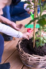 Erstes Gartnern Mit Kindern Eine Anleitung Fur Anfanger Familiengarten Naturmaterialien Kinder