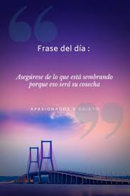 Pin En Frases Para Cada Dia