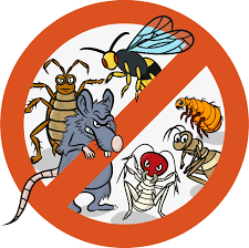 Real Pest Management – To know the pest is to defeat the pest