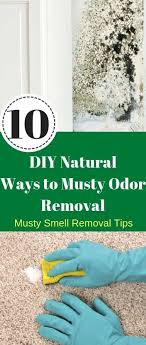 How dehumidifier helps in removing musty smells. 14 Old House Smells Ideas Old House Smells House Smells Smelling