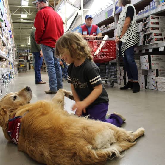 A disabled Air Force veteran needed a job. So Lowe's hired him — and his  service dog. - The Washington Post