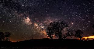 600x399 animated glitter wallpaper 2gif. Starry Night Forest Nature Gif 4 Francine Belle