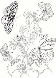 And we have a huge collection! Coloring Pages Flower And Butterfly Creative Art