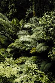 Download 550,000+ royalty free green white background vector images. 750 Green Aesthetic Pictures Download Free Images On Unsplash
