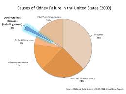Image Detail For Can Kidney Stones Cause Kidney Failure Or Damage Kidneystoners Org Renal Failure Chronic Kidney Failure Kidney Failure Causes