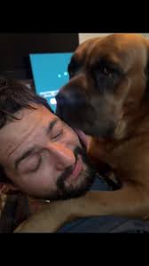 Dog Licks Dad