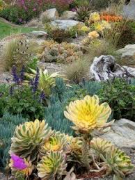 Pin By Dolores Fritzsche On Misc Beach Cottage Decorating Ideas Succulent Landscape Design Succulent Landscaping Succulents