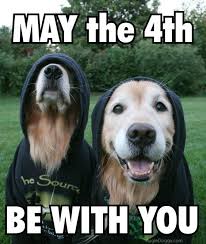 Happy Star Wars Day Funny Animals Dogs Golden Retriever Happy Star Wars Day