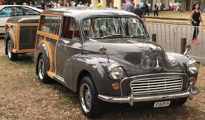 Image result for Rose Taupe 1965 Morris