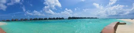 Log in to leave a tip here. Ng Say Khong Volunteer National Parks Board Linkedin