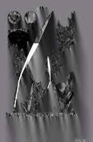 Image result for Diplacrum africanum