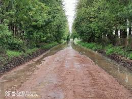 Addo and Valencia Community updates in Sunday'sRiver Valley