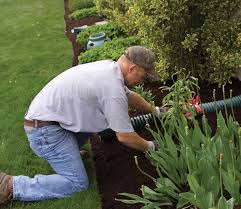 Lawn Care Pros Ask The Right Questions When Hiring A Lawn Care Company Central Virginia Home Magazine