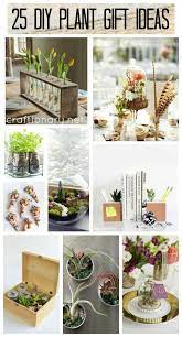 Diy Plant Gift Ideas Best For Every Occasion Craftionary Plant Gifts Diy Plants Jar Gifts