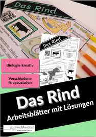 Kreatives Arbeitsblatt Zum Thema Rind Sketchnotes Interactive Notebook Unterrichtsmaterial In Den Fachern Biologie Sachunterricht Grundschulmaterial Interaktives Notizbuch Arbeit