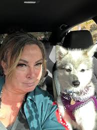 Husky Puppies Bring Joy to Families