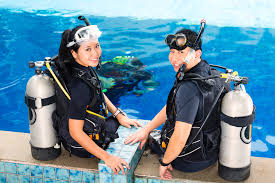 5 Of The Coolest Jobs For Shark Lovers We Love Sharks