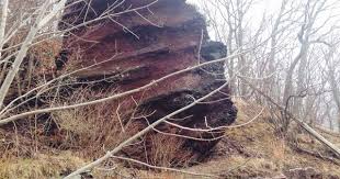 Pin On Jersey Missing Home