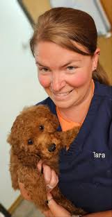 Heartland Animal Hospital