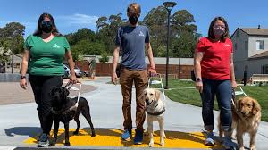 We are pleased to offer these wonderful trained golden retriever puppies for sale. Guide Dogs For The Blind Provides Independence Through The Use Of Trained Dogs For The Blind And Visually Impaired Abc7 San Francisco
