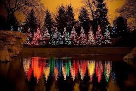 Zoolights Presented By Comed And Powershares Qqq Lincoln Park Zoo Outdoor Christmas Lights Outdoor Christmas Christmas Tree Lighting