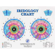 Iris Reading Chart Bedowntowndaytona Com