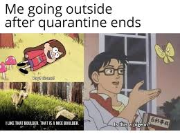 The uk is entering yet another lockdown , and people on twitter are reacting with memes! Moderately Amusing Memes For Your Lockdown Perusal Really Funny Memes Crazy Funny Memes Funny Memes