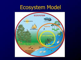 ecosystem model ppt video online download