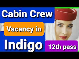 Complete details of the indigo cabin crew vacancy 2021, indigo cabin crew jobs for freshers jobs 2021, have been provided on this page. Indigo Airlines Job Vacancy 2020 Jobs Ecityworks