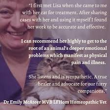 Holistic Treatment For Cats