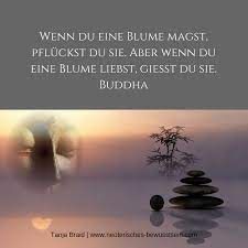 Spruch Zitat Buddha Buddha Spruche Zitate Buddhismus Buddhistische Spruche
