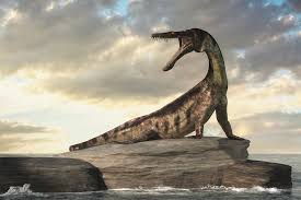 Image result for Nothosaurus