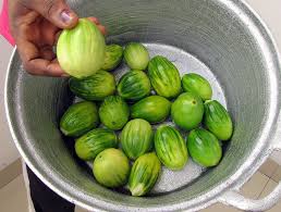 Image result for Solanum aethiopicum