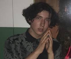 Frankie Jonas Biography
