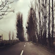 Joaquin Varela Joakyno Instagram Photos And Videos Instagram Photo Instagram Photo