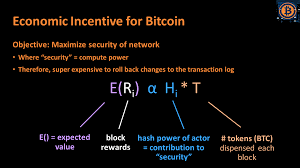 This spring, three of the largest crypto networks btc, bch, and bsv will undergo their halvings around the same time for the first time in history. Token Engineering Case Studies Analysis Of Bitcoin Design Of Ocean By Trent Mcconaghy Ocean Protocol