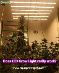 Most grow lights are only good at shining light directly below the fixture in a spotlight, so the most attractive light reading an led company can advertise is the highest reading they can measure — the one right in the center of the light. Pin On Led Grow Lights