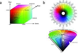 Enter 6 digits hex code or enter red, green and blue color levels (0 rgb to hsv conversion formula. A Rgb B Hsv Color Space Download Scientific Diagram