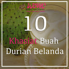 Mudah sahaja, rebus 10 helai daun durian belanda tua, tetapi warnanya masih hijau pekat. Khasiat Buah Durian Belanda Wom My Durian Buah Durian Online Magazine