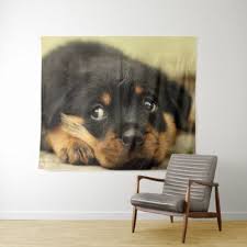 Cute Rottweiler Puppy Tapestry Rottweiler Puppy Rottweilers Dog Dogs Pet Pets Cute Rottweiler Puppies Dog Training Obedience Best Dog Training