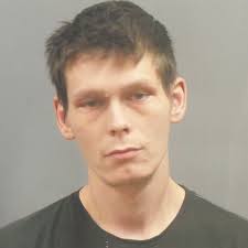 House Springs man charged for alleged hit-and-run