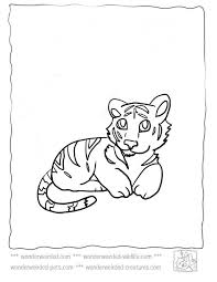 Baby Tiger Coloring Pages At Www Wonderweirded Wildlife Com Baby Tiger Coloring Pages Html Echos Animal Coloring Pages Coloring Pages For Kids Tiger Pictures