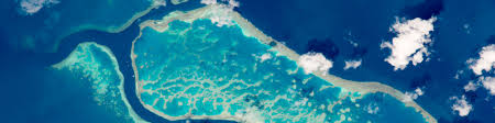 We did not find results for: How To Build A Great Barrier Reef Curious