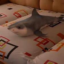Hot Gift Of 2020 Video Funny Animal Videos Shark Toy Cute Funny Animals