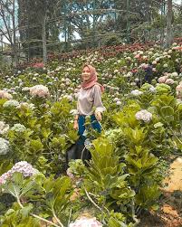 Maybe you would like to learn more about one of these? Taman Ladaya Kukar Minggu Ini Taman Garuda Ini Menjadi Tujuan Utama Warga Kendal Pada